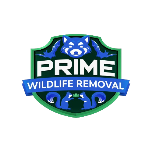Wildlife Removal Fruitport